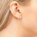 Wonderous 18k White Gold Swarovski Earrings, Drop Dangle-Earrings